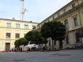 IMG_0062