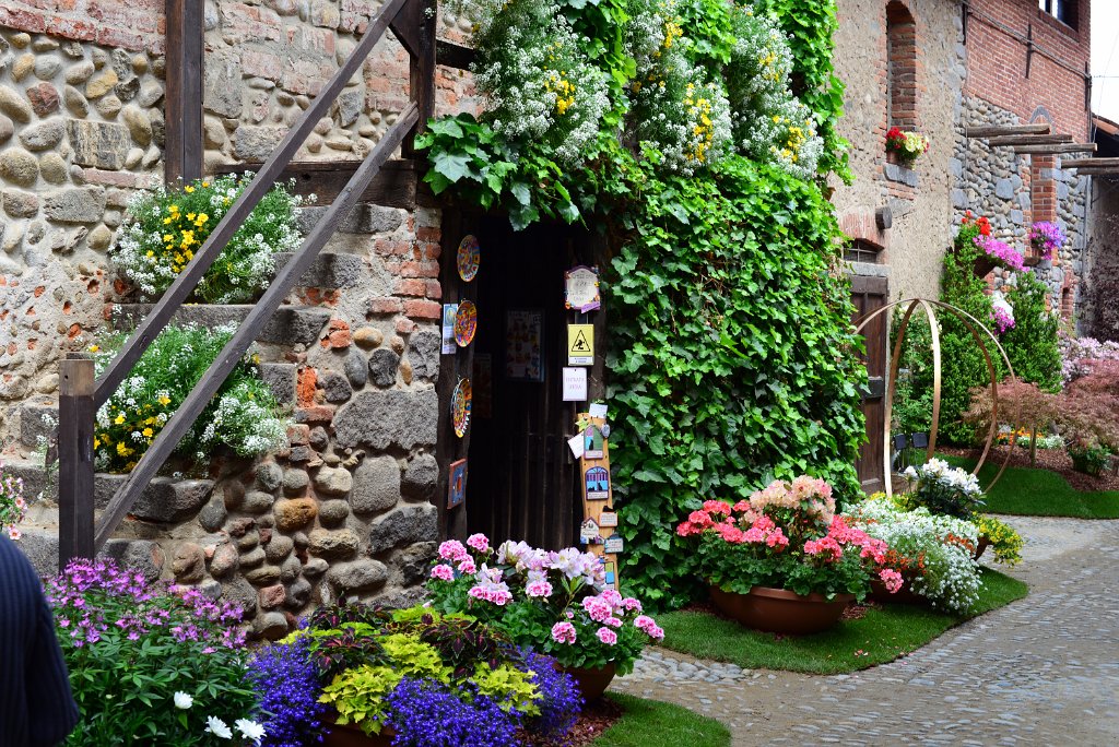 DSC_1025.JPG