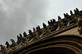 DSC_3599_Dijon