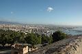 DSC_3347_Palma